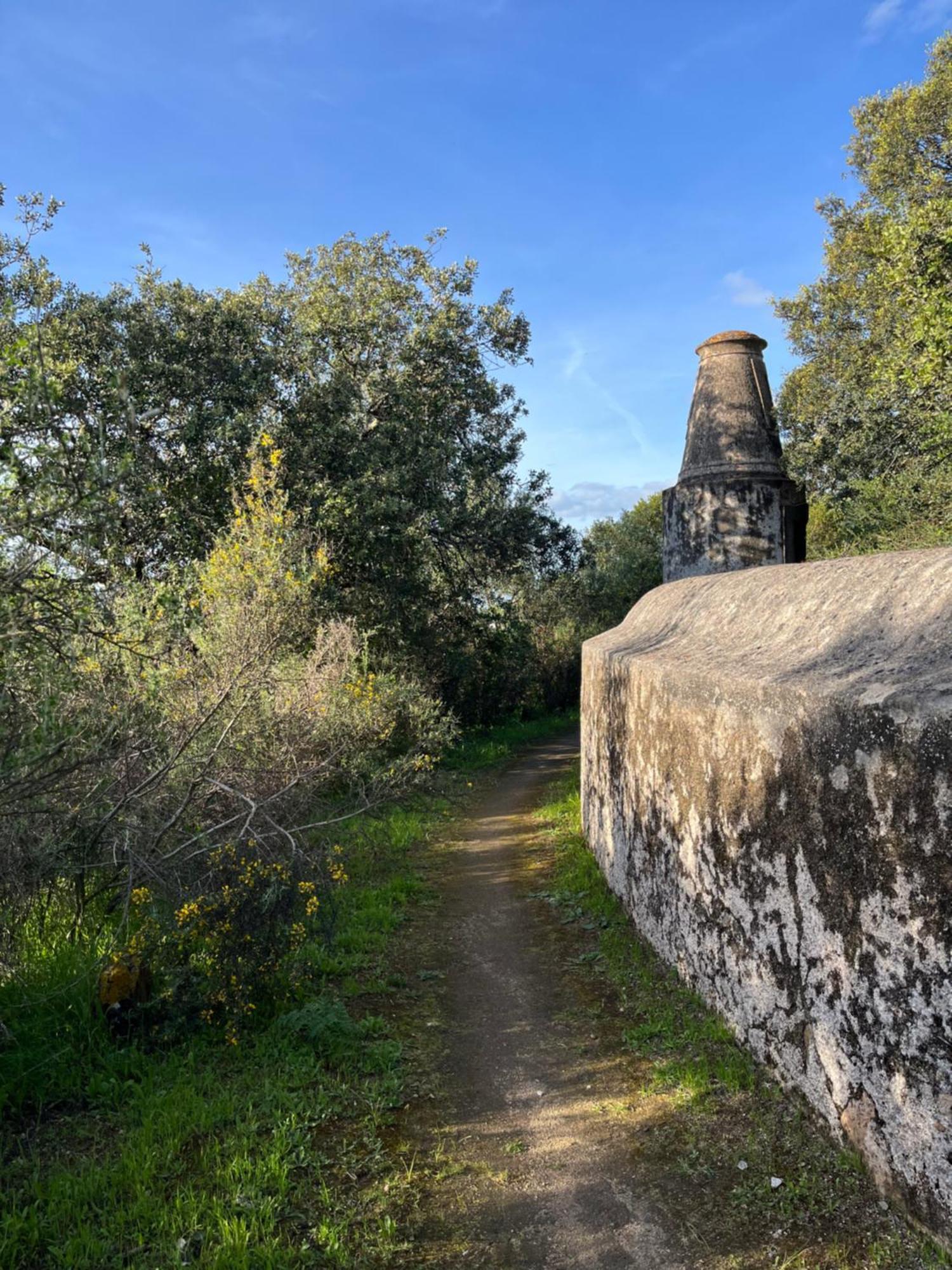 Quinta Do Faisco Villa Évora Kültér fotó